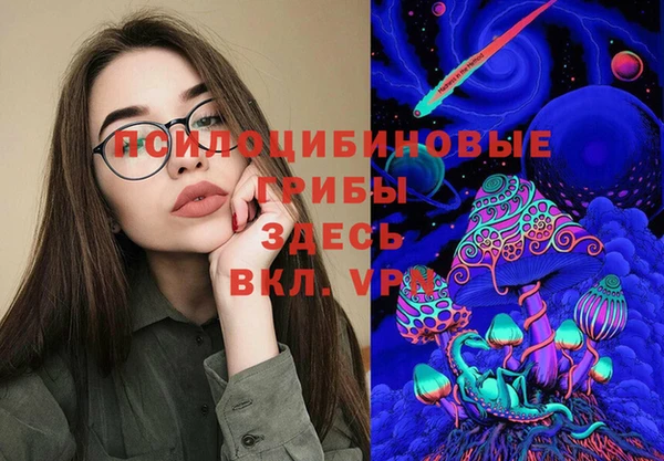 mdpv Богданович