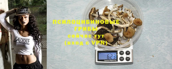 mdpv Богданович