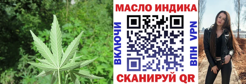 Купить где Грязовец ТГК THC oil