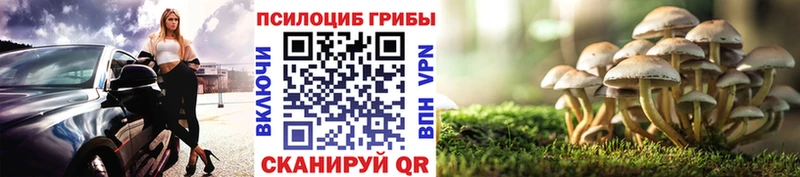 Галлюциногенные грибы Magic Shrooms  Купить где  Грязовец 